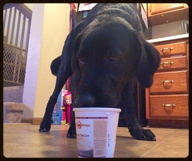 Can't talk Mom, ice cream to lick.